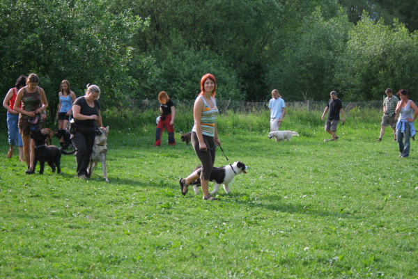 IMG_3596.JPG