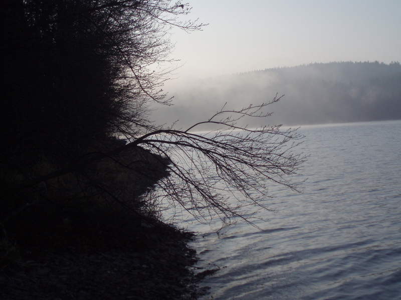 P4133053.JPG